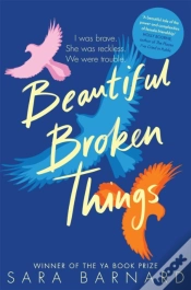 Capa do artigo Beautiful Broken Things