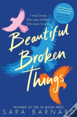 Capa do artigo Beautiful Broken Things