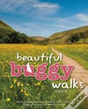 Capa do artigo Beautiful Buggy Walks
