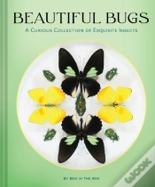 Capa do artigo Beautiful Bugs
