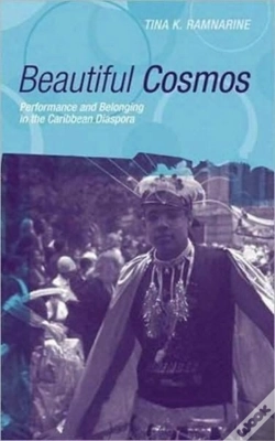 Capa do artigo Beautiful Cosmos