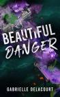 Beautiful Danger - Preview