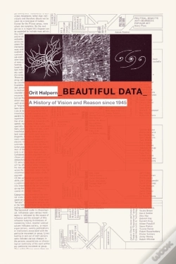 Capa do artigo Beautiful Data