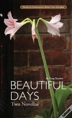 Capa do artigo Beautiful Days