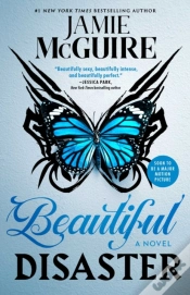 Capa do artigo Beautiful Disaster
