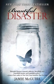 Capa do artigo Beautiful Disaster