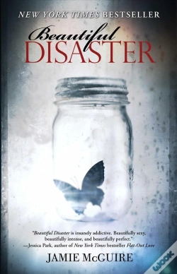 Capa do artigo Beautiful Disaster
