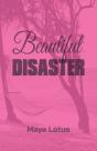 Beautiful Disaster - Preview