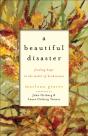 Beautiful Disaster - Preview