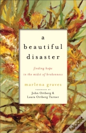 Capa do artigo Beautiful Disaster