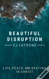 Capa do artigo Beautiful Disruption