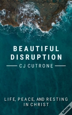 Capa do artigo Beautiful Disruption
