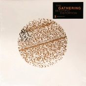 Capa do artigo Beautiful Distortion - Vinil