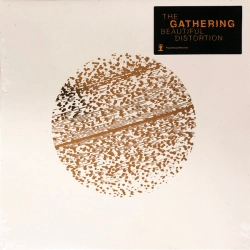 Capa do artigo Beautiful Distortion - Vinil