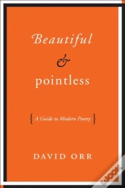 Capa do artigo Beautiful & Pointless