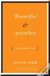 Capa do artigo Beautiful & Pointless