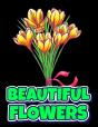 Beautiful Flowers - Preview