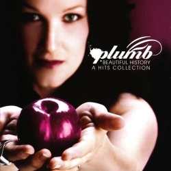 Capa do artigo Beautiful History (A Hits Collection) - CD