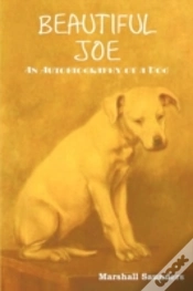 Capa do artigo Beautiful Joe