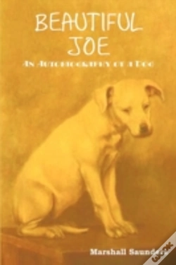 Capa do artigo Beautiful Joe