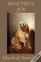 Beautiful Joe