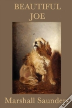 Capa do artigo Beautiful Joe
