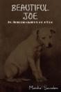 Beautiful Joe - Preview