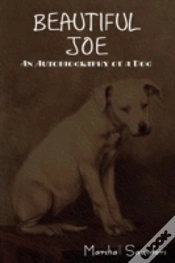 Capa do artigo Beautiful Joe