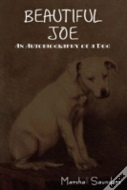 Capa do artigo Beautiful Joe