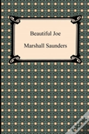 Capa do artigo Beautiful Joe