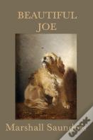 Beautiful Joe