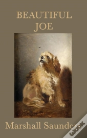 Beautiful Joe