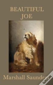 Capa do artigo Beautiful Joe