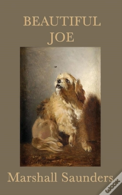 Capa do artigo Beautiful Joe