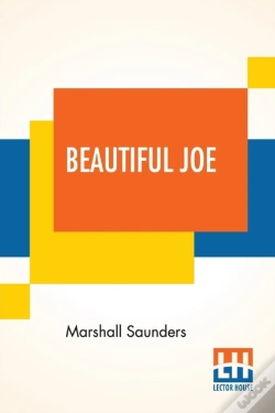 Capa do artigo Beautiful Joe