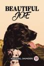 Beautiful Joe - Preview