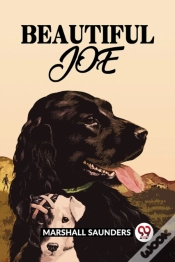 Capa do artigo Beautiful Joe