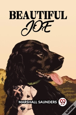 Capa do artigo Beautiful Joe