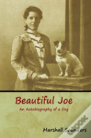 Beautiful Joe
