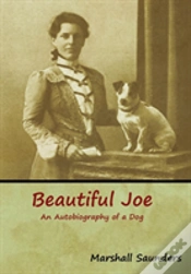 Capa do artigo Beautiful Joe