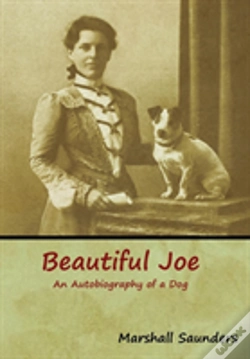 Capa do artigo Beautiful Joe