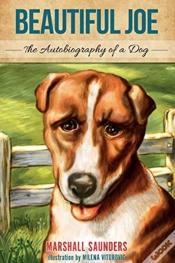 Capa do artigo Beautiful Joe