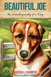 Capa do artigo Beautiful Joe