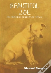 Capa do artigo Beautiful Joe