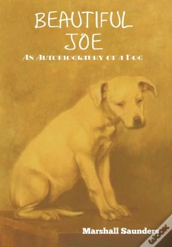 Capa do artigo Beautiful Joe