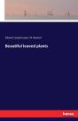 Beautiful Leaved Plants - Preview