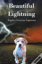 Capa do artigo Beautiful Lightning