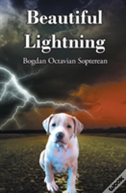 Capa do artigo Beautiful Lightning