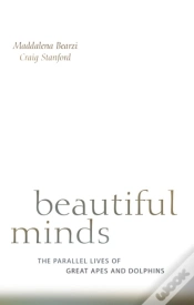 Capa do artigo Beautiful Minds