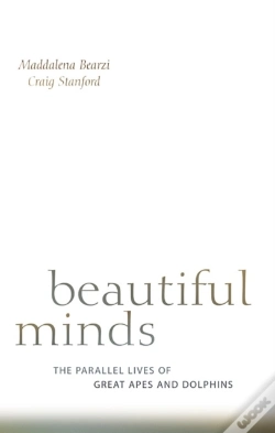 Capa do artigo Beautiful Minds
